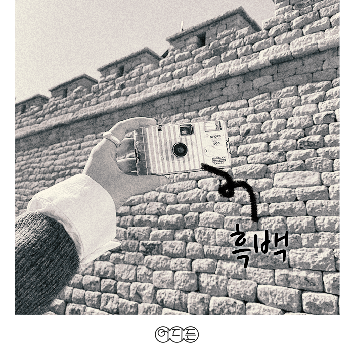 contentsImage_